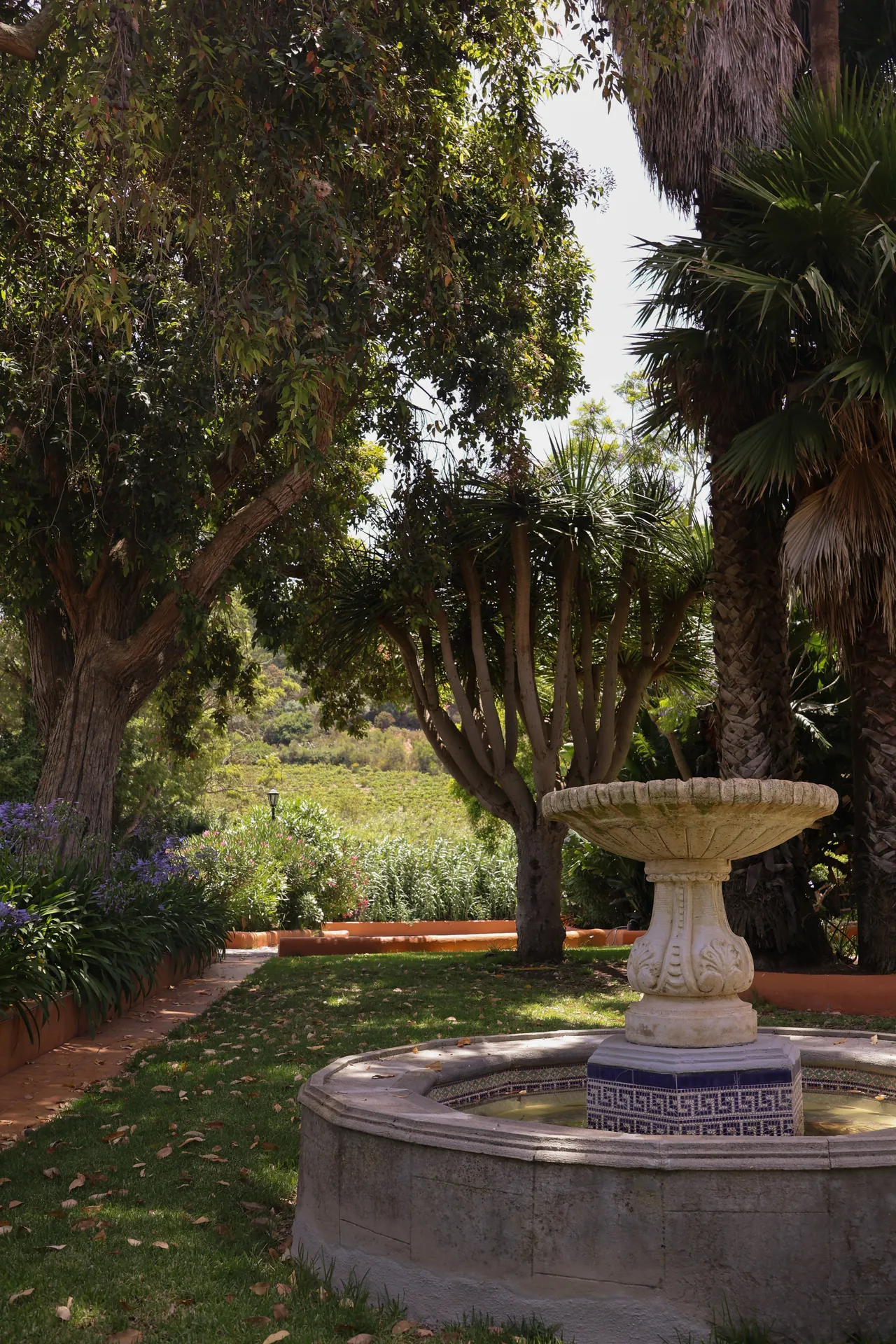 7-day wellness programmes in Tenerife